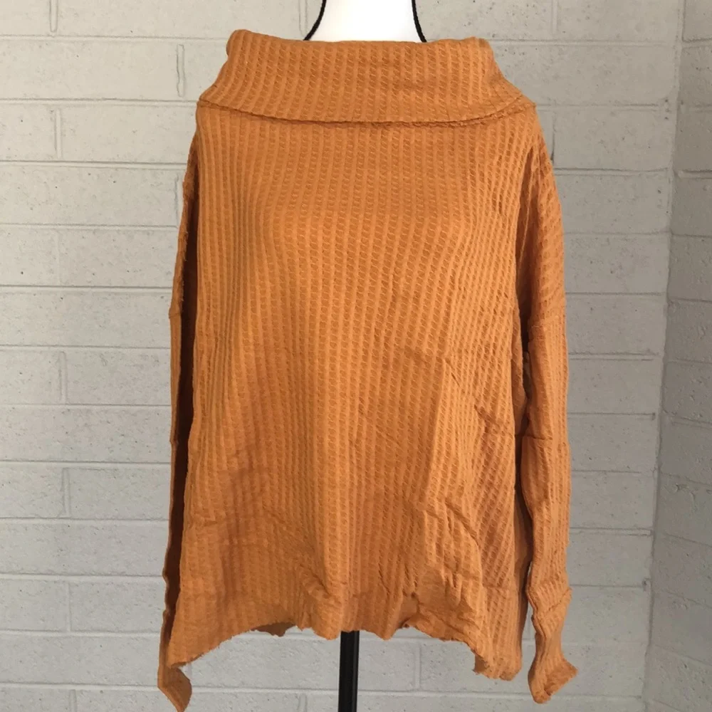 NWT Free People Juicy Long Sleeve Top in Canyon Moon - Picture 3 of 10